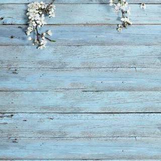 Phông nền chụp sản phẩm