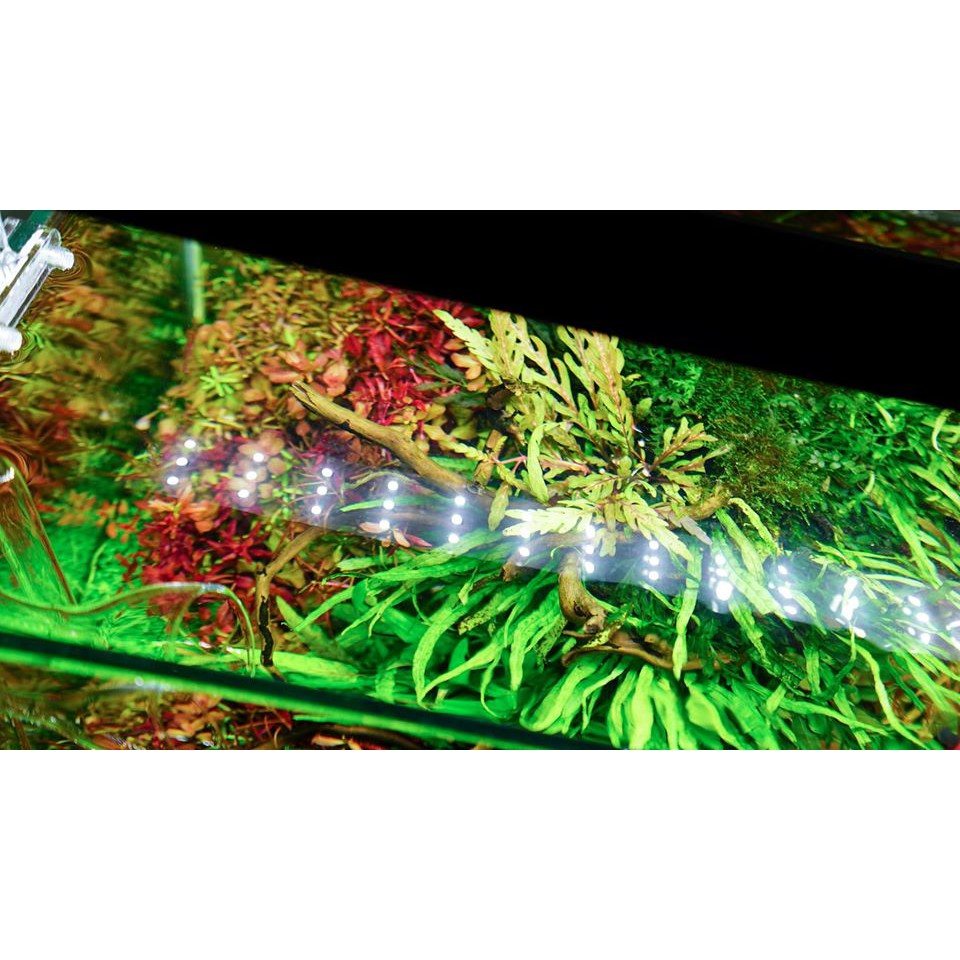 Đèn Led Chihiros Series A2 30cm/35cm/40cm/45cm/50cm/60cm - Đèn Led Cao Cấp Bể Thủy Sinh