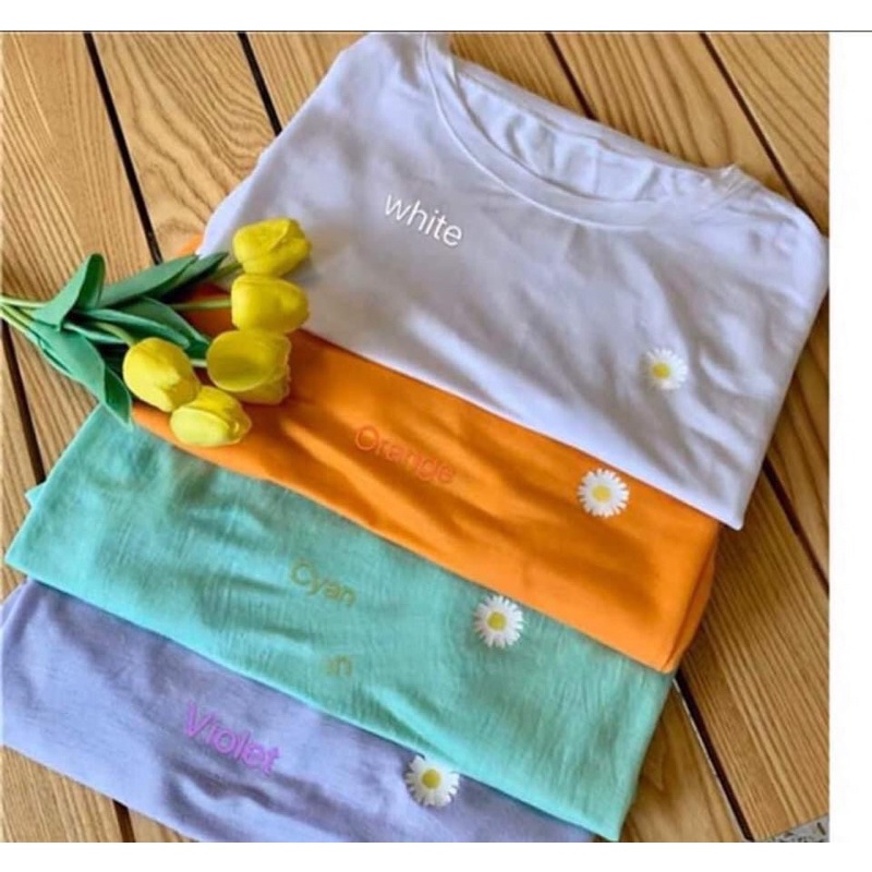 ÁO THUN GIẤY DÀI TAY 5 MÀU QC HOT