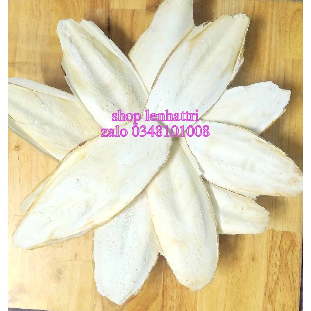 Nang mực thay cho thạch cao phi làm thực phẩm