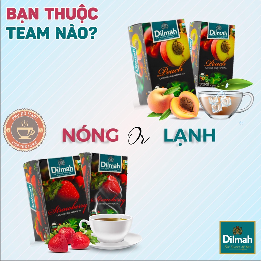 Trà Dilmah Túi Lọc Vị Hương Dâu, Đào, Bạc Hà