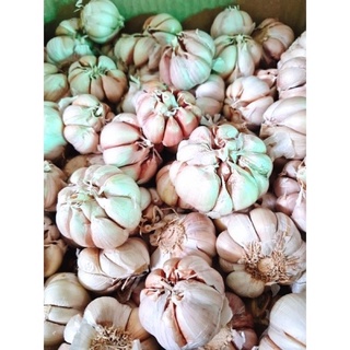 1kg Tỏi khô ở quê
