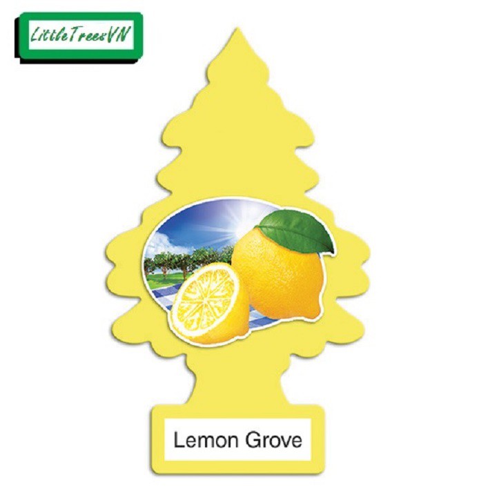 COMBO 5 CÂY THÔNG THƠM LITTLE TREES - Lemon Grove