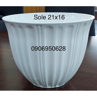 Chậu nhựa sole trắng  (có dĩa lót)
