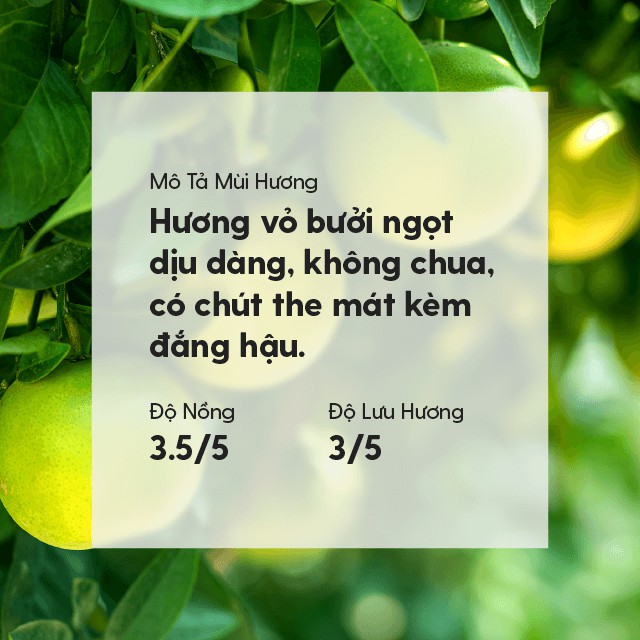 17 MÙI Tinh Dầu Diệt Khuẩn Làm Sạch Không Khí Organic Thiên Nhiên Nguyên Chất Đậm Đặc HENY GARDEN