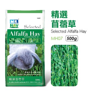 Cỏ alfalfa hay cao cấp 500gr - Mr.Hay