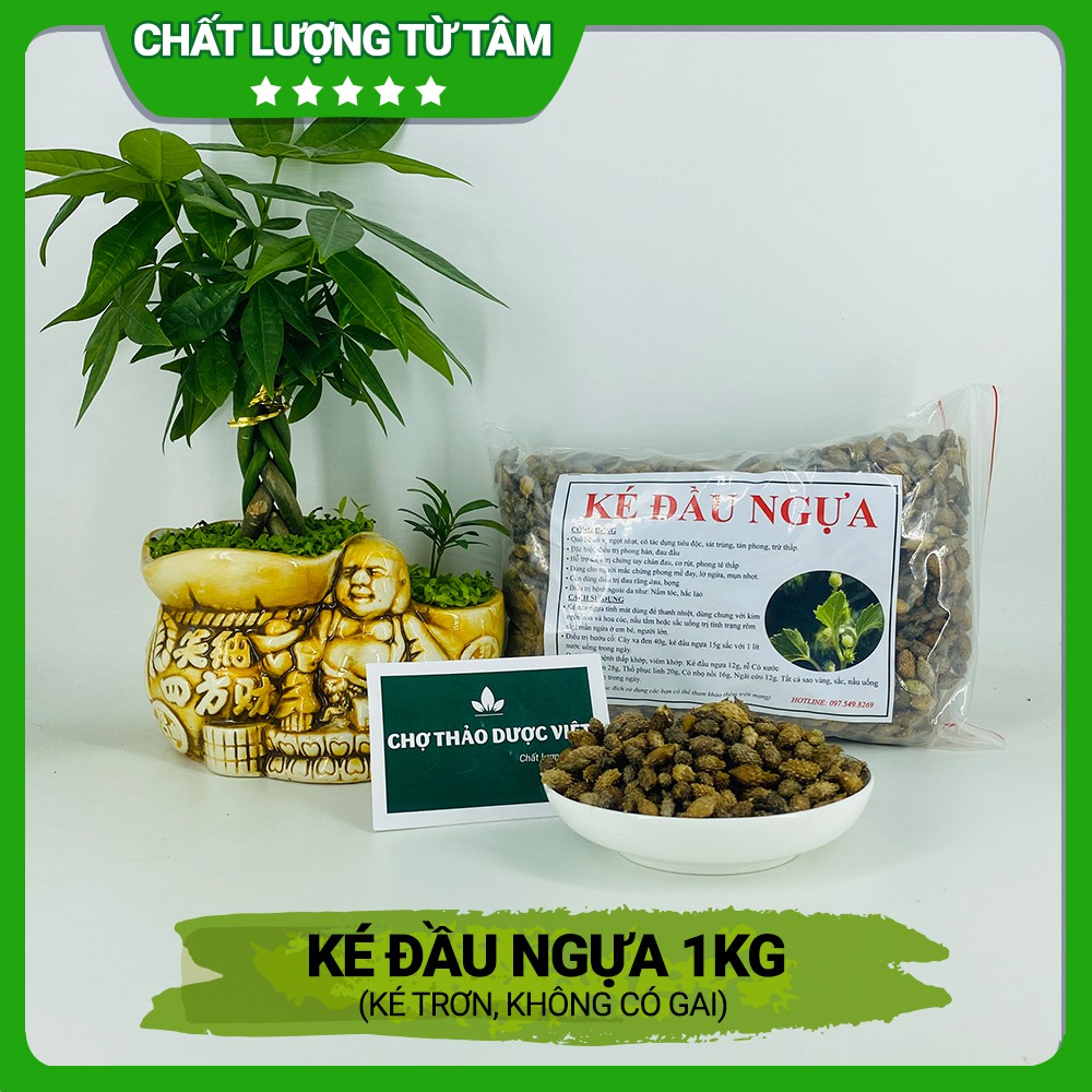 [Giá Sỉ] 1kg Ké Đầu Ngựa (Có 2 loại Ké trơn và Ké có gai)