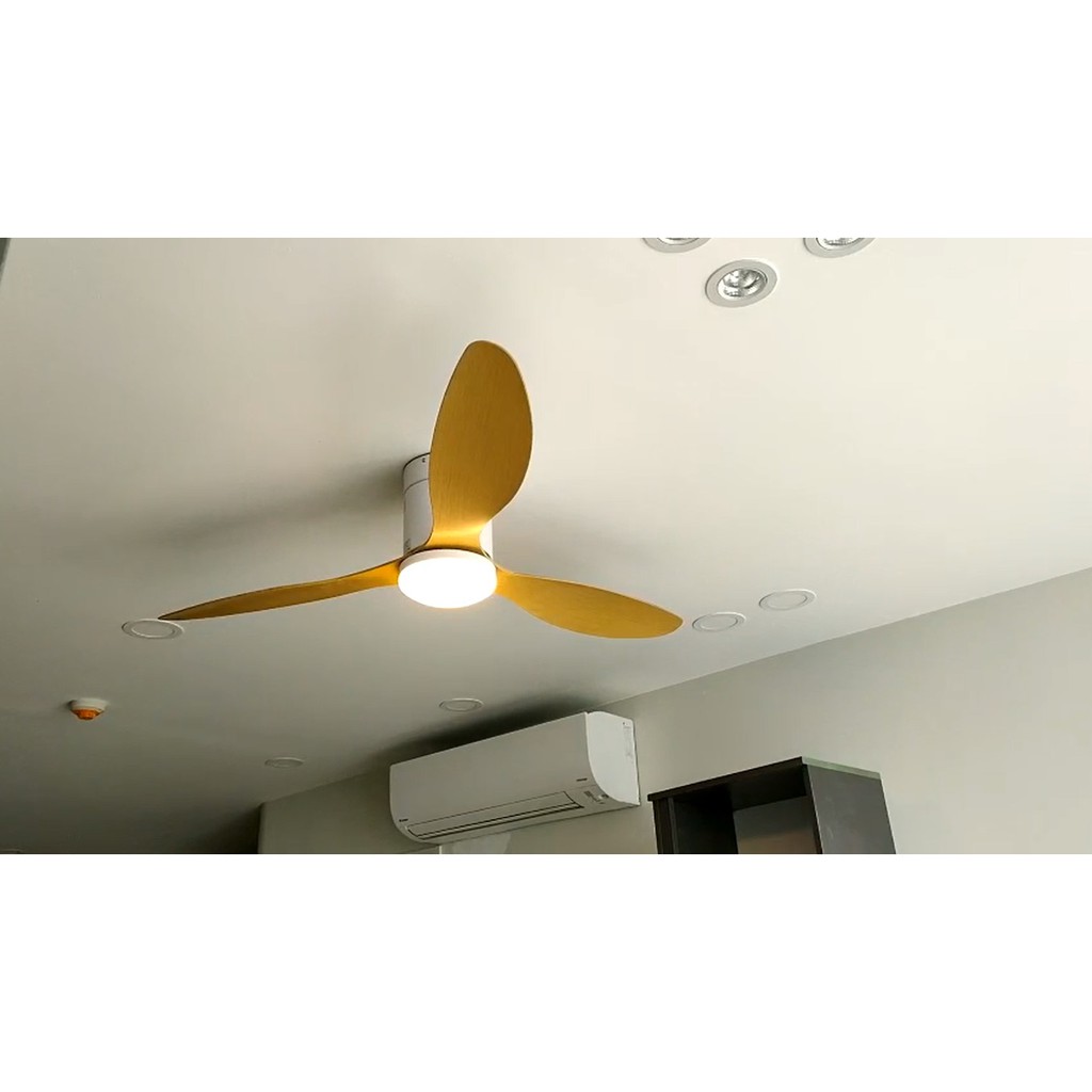 Quạt trần đèn trần thấp Trang trí Phong cách Hiện Đại  52DY-G