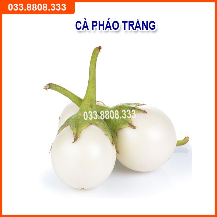 Bộ 4 Loại Hạt Giống Cà (  Cà Chua Bi Vàng - Cà Chua Bi Lùn - Cà Pháo Trắng - Cà Tím Quả Dài)