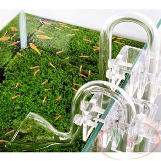 In out thủy tinh fi12 và fi16 - In out thủy tinh siêu đẹp siêu trong