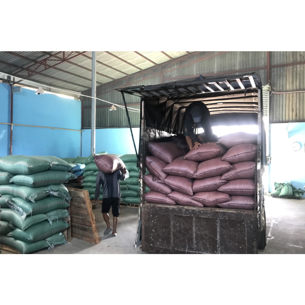 Cà phê thải độc đại tràng Gerson