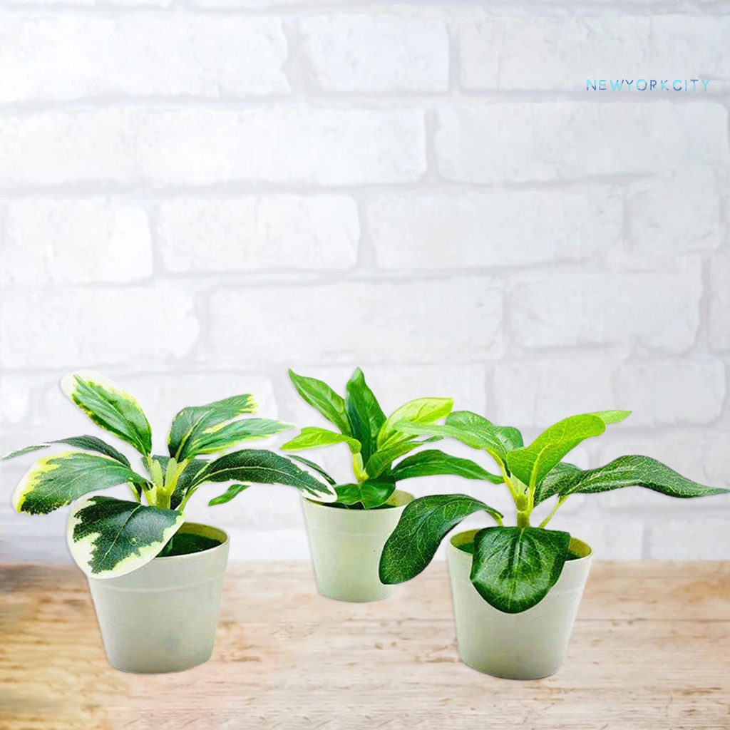 Chậu Cây Cảnh Nhân Tạo Bằng Nhựa Sống Động Như Thật Dùng Trang Trí Nhà Cửa