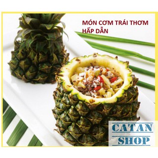 DỤNG CỤ GỌT THƠM GD51-GTNT