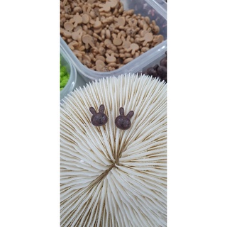 charm gấu , thỏ guxi