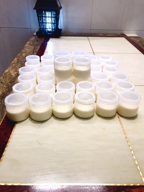 Set 200 hũ sữa chua 100 ml