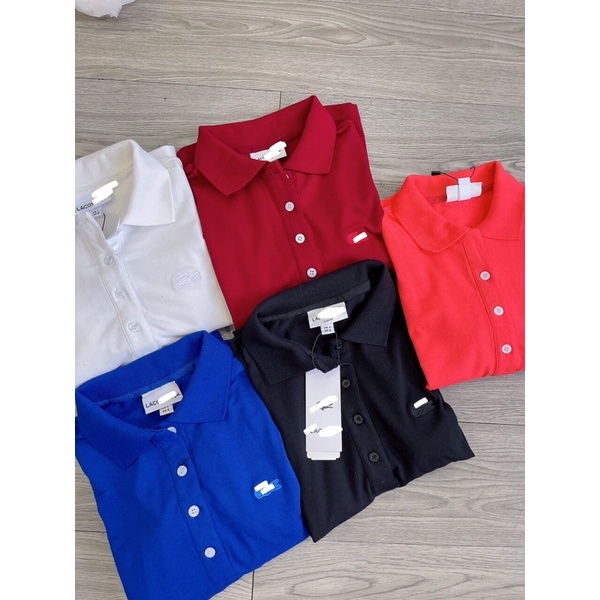 Đầm thun polo nữ tay ngắn dáng basic trơn nhiều màu-hàng xuất