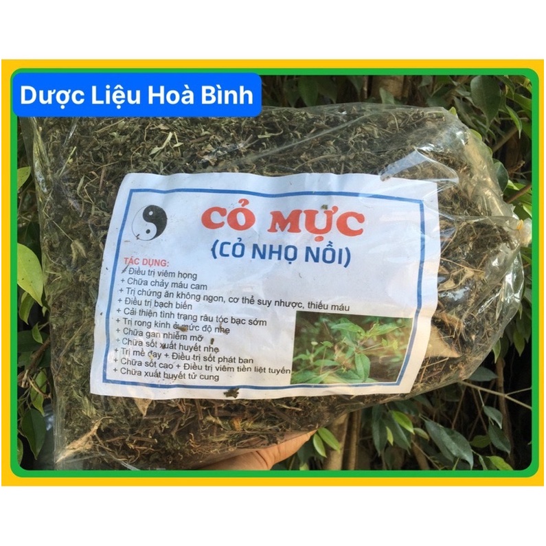 Cây Cỏ Mực( Nhọ Nồi Thu gom dân bản)