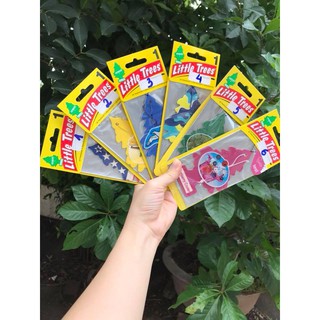 CÂY THÔNG THƠM LITTLE TREES - cây thông thơm Mỹ