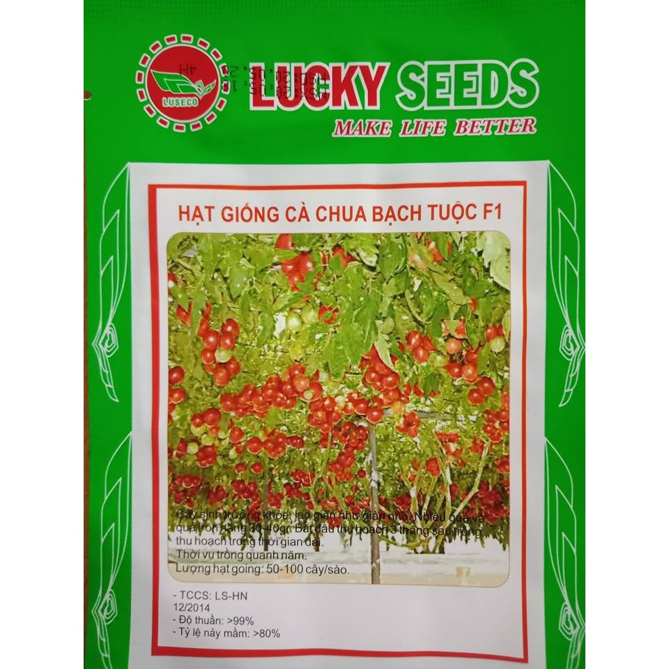 Hạt giống cà chua bạch tuộc F1