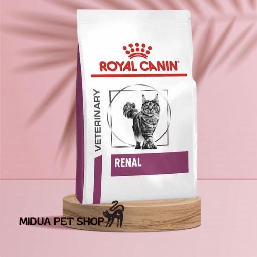 2kg Thức ăn hỗ trợ thận mèo Royal Canin Renal Cat