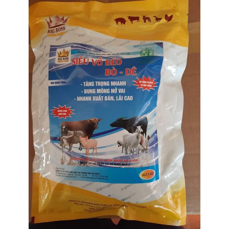 SIÊU VỖ BÉO BÒ DÊ