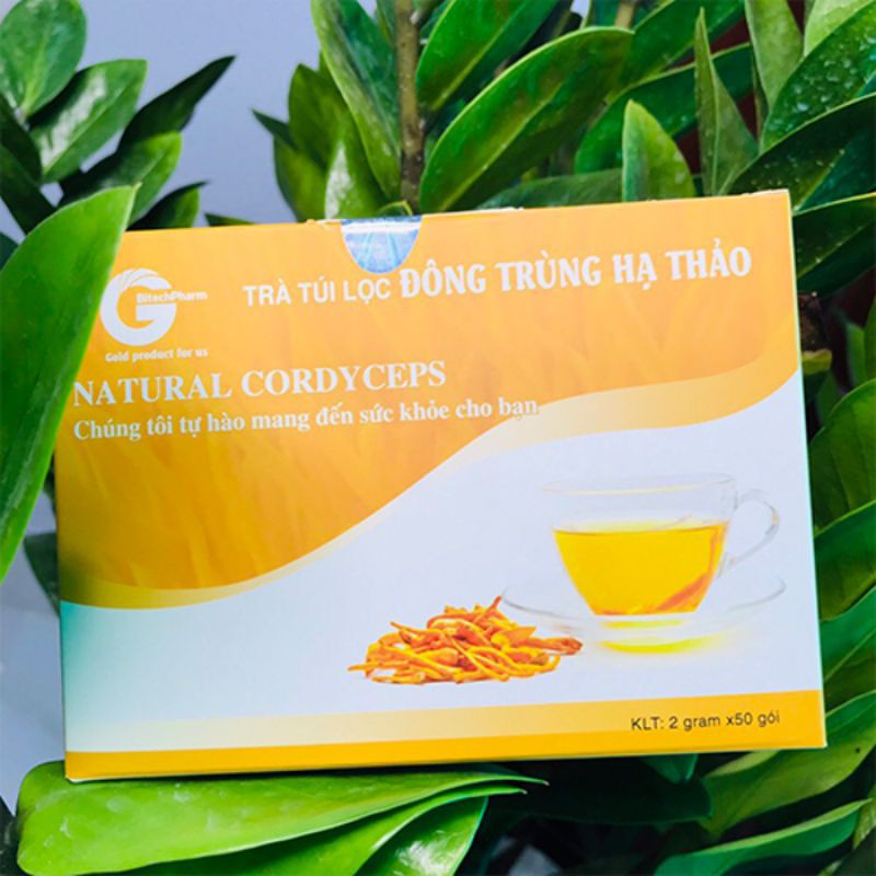 [FREESHIP]TRÀ TÚI LỌC ĐÔNG TRÙNG HẠ THẢO NATURAL CORDYCEPS