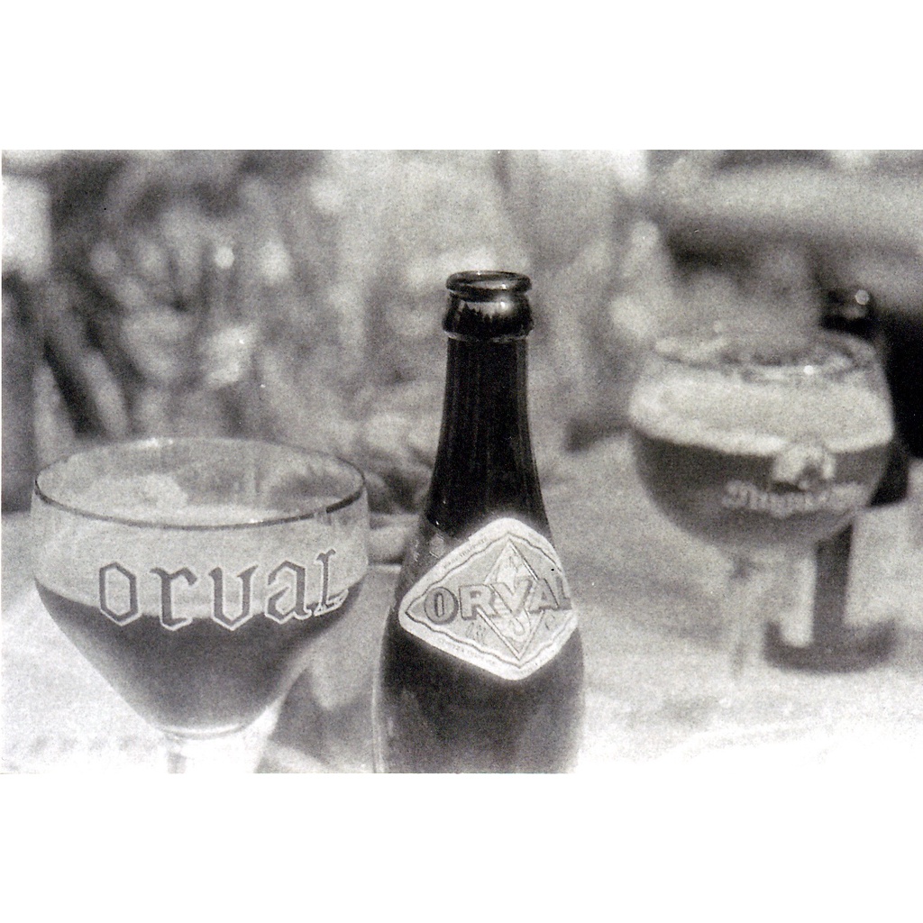 Phim Washi F ISO 100, Đen Trắng B&W, 135/35mm x 24 Kiểu, In Date Cho Máy Chụp Ảnh Film - LIIQ Flash