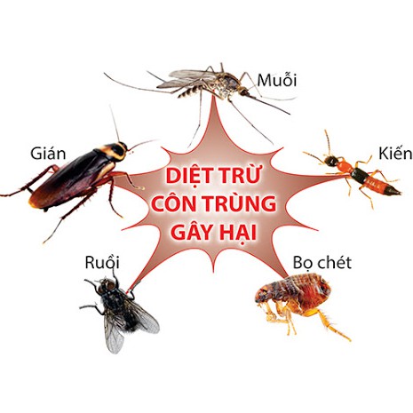 Chế Phẩm Diệt Côn Trùng FENDONA 10SC - Thuốc Diệt Muỗi Kiến Gián (gói 5ml)