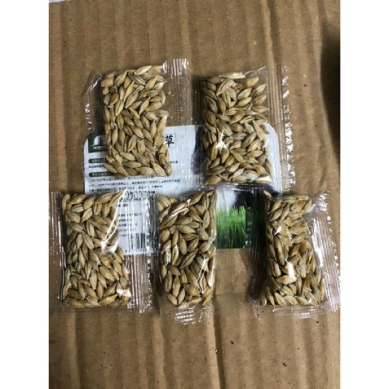 [Mã PET50K giảm Giảm 10% - Tối đa 50K đơn từ 250K] Bộ kit trồng cỏ mèo tiêu búi lông tăng chất xơ
