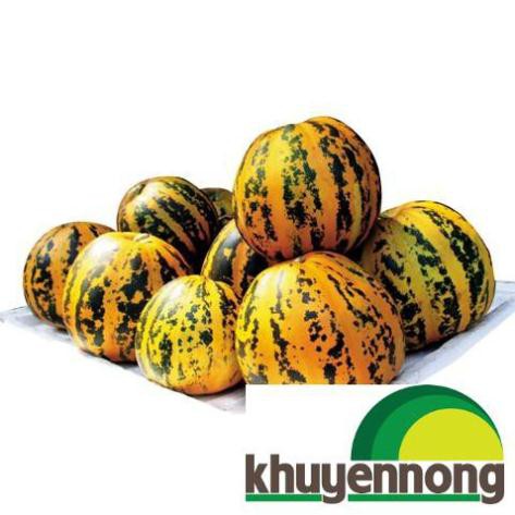 Hạt giống dưa bở 20 hạt