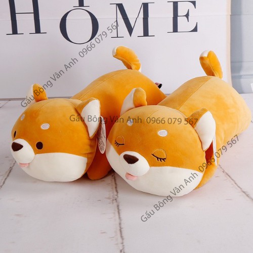 Gấu Bông Chó Shiba Vàng Mắt Híp ,Shiba Mắt Tròn Siêu Cute