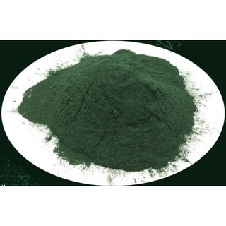 Tảo bột nuôi bobo sinh khối 500g- 1kg - thức ăn dành cho cá cảnh