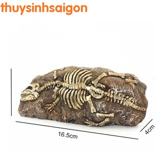 Mô hình hóa thạch khủng long trang trí hồ cá cảnh , bể thủy sinh