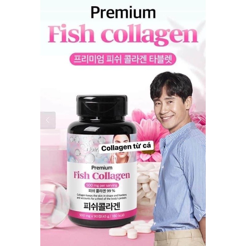 Hộp Nhựa Nắp Tím