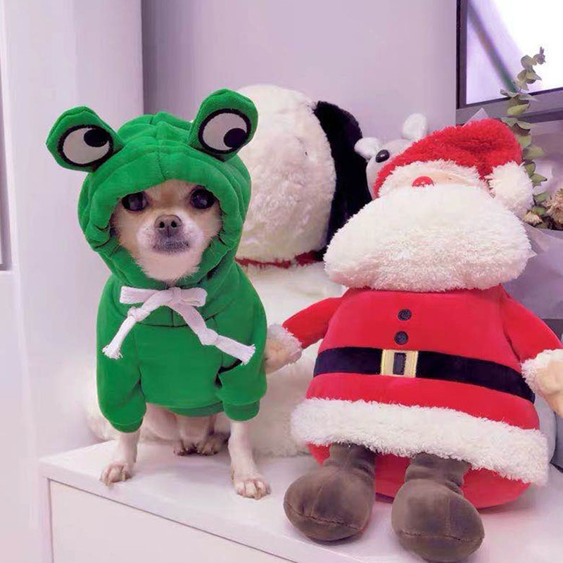 New Halloween Dress Up Creative Pet Clothing Fruit Shape Dog Cat Sweater Autumn and Winter Soft and Comfortable Warm Fashion