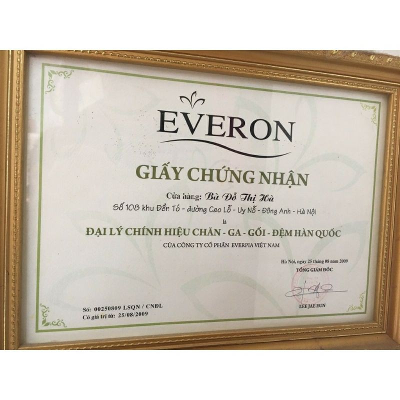 Ruột chăn Everon chính hãng