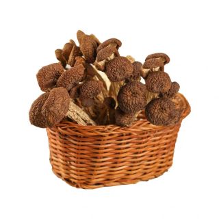 Nấm cây trà dưỡng sinh ( 250g )