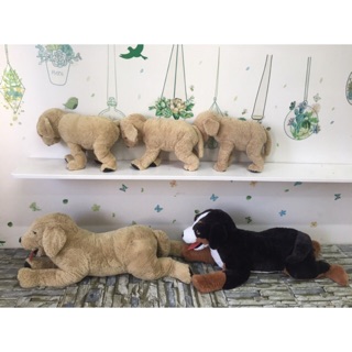 Gấu bông chó vàng nâu ( kèm clip )