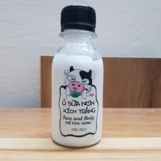 Ủ sữa non kích trắng