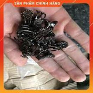 KẸP BƯỚM NHỎ CỐ ĐỊNH HOA LAN GÓI 100 CHIẾC.