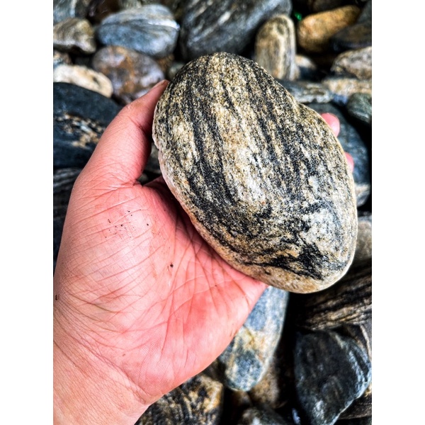 Đá Cuội Vân Mây Loại Cứng (1kg) Setup Bể Thuỷ Sinh,Tiểu Cảnh Bán Cạn, Trang Trí Bể Cá Cảnh