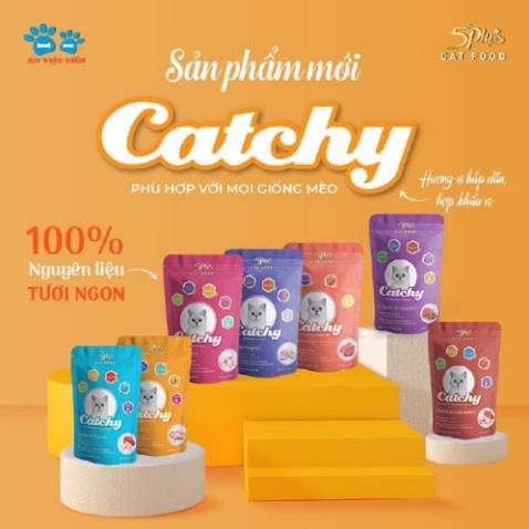 Pate Catchy 5plus hàng việt nam dành cho mèo cưng dạng gói 70g nhiều vị