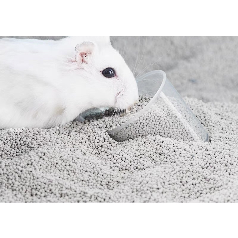 catsan liti Thái thấm hút tốt cho hamster 1kg