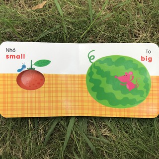 Ô Cửa Diệu Kì - So Sánh