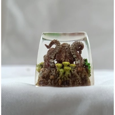 Nút bàn phím hình bạch tuộc