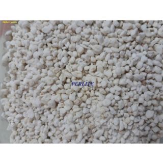 Đá perlite (túi 500gr)