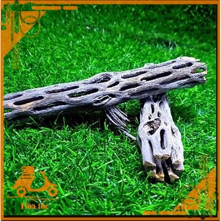 Lũa Cholla - Lũa Xương Rồng Chuyên Cho Tép Cảnh - Đồ chơi cho tép - Hang cho tép - Trang trí hồ thủy sinh