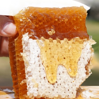 Mật ong nguyên chất nuôi rừng nguyên sinh 371 VÕGIATRANG 1 lít mật nuôi rừng tự nhiên. mật cao nguyên hoa vải