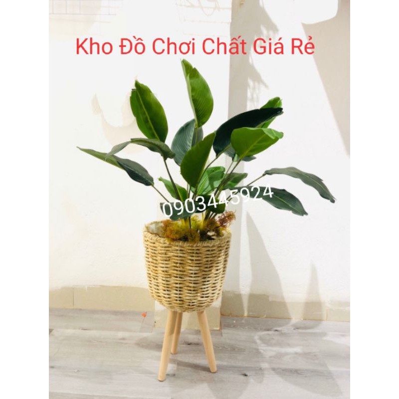 Cây chuối Cảnh giả 9 lá cao 40cm không kèm chậu-Cây Giả