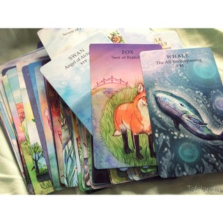 Bộ Bài Spirit Animal Tarot (Animal Wisdom Tarot) (Guu Tarot Shop)
